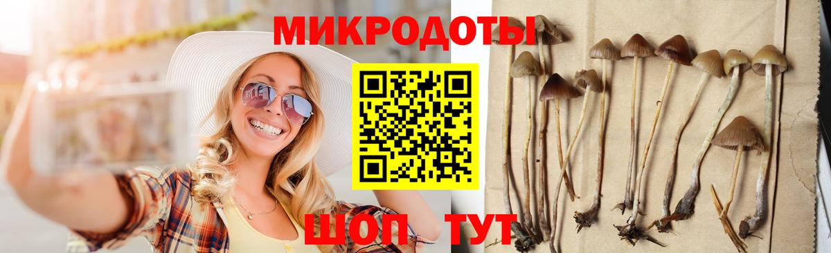 где купить наркоту  Псилоцибиновые грибы прущие грибы  Вход с VPN  Галлюциногенные грибы Psilocybine cubensis  Корсаков 